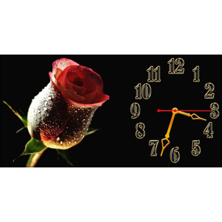 Настенные часы Нежная роза, 30х60 см