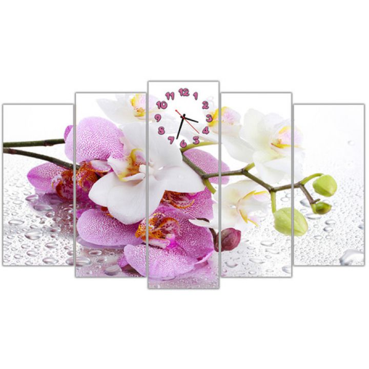 Модульные настенные часы Бело розовые орхидеи