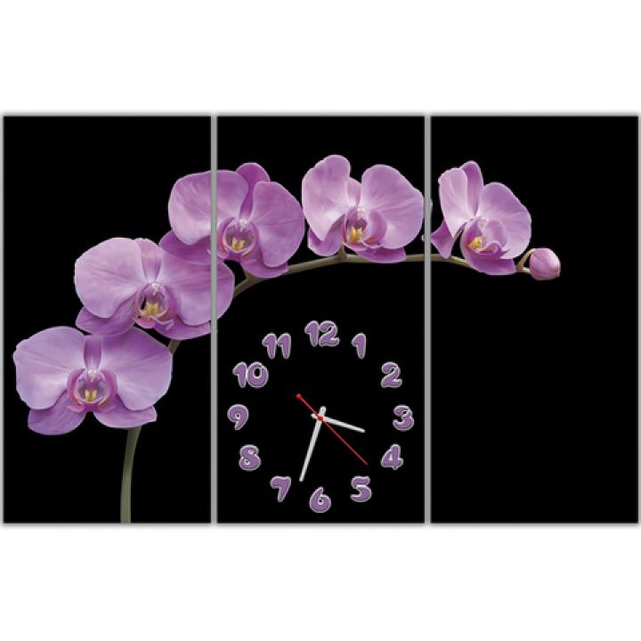 Модульные настенные часы Розовая орхидея