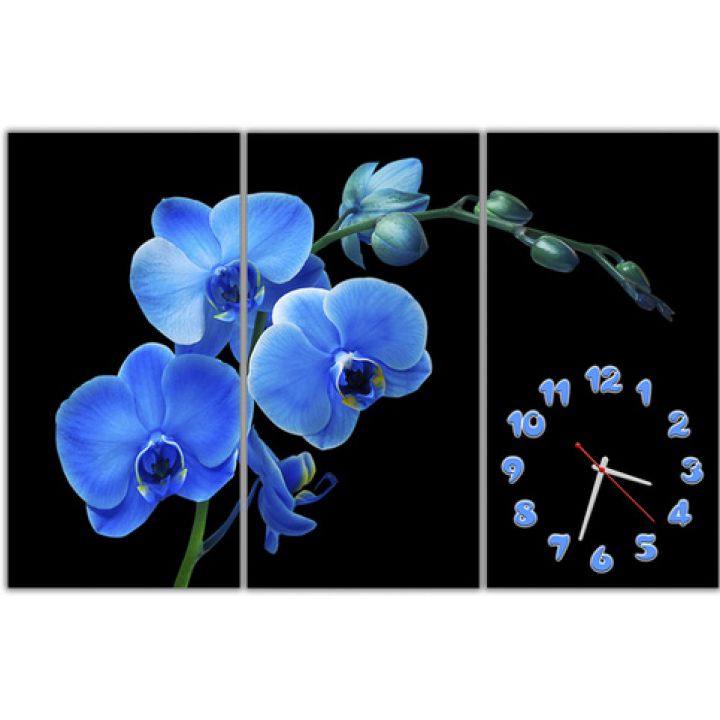 Модульний настінний годинник Синя орхідея