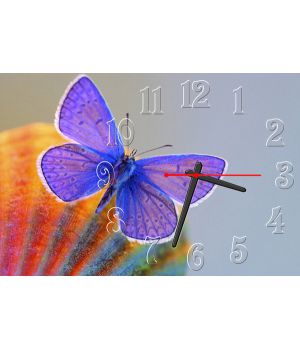Настінний годинник Трепетний метелик, 30х45 см