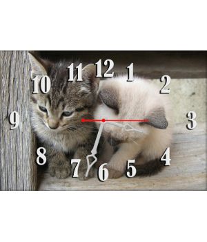 Годинник настінний Милі кошенята, 30х45 см