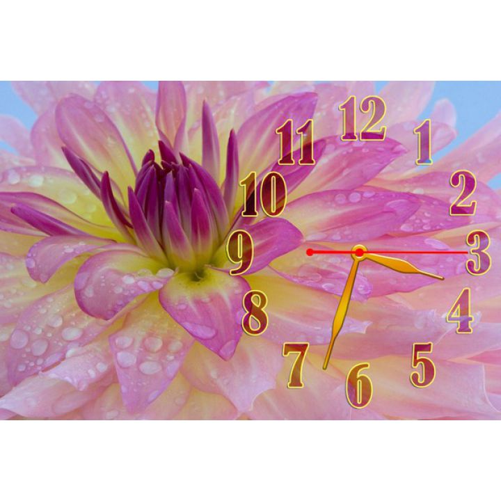 Настенные часы Нежный розовый цветок