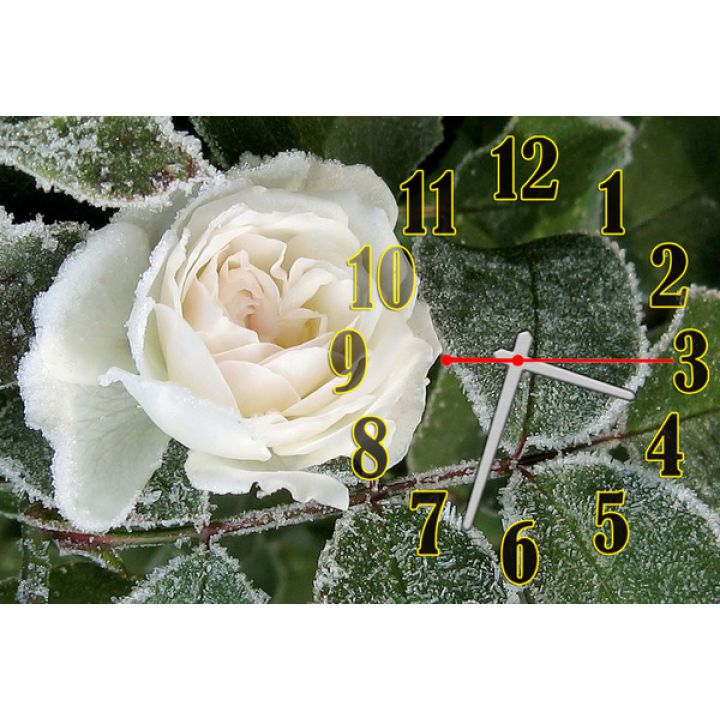 Настенные часы Роза в снегу