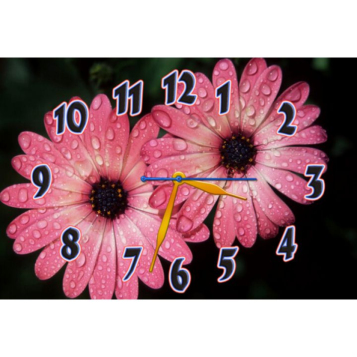 Настенные часы Розовые цветочки