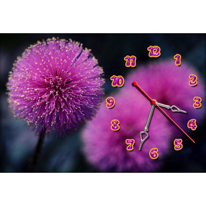Годинник настінний Квітка-кулька, 30х45 см