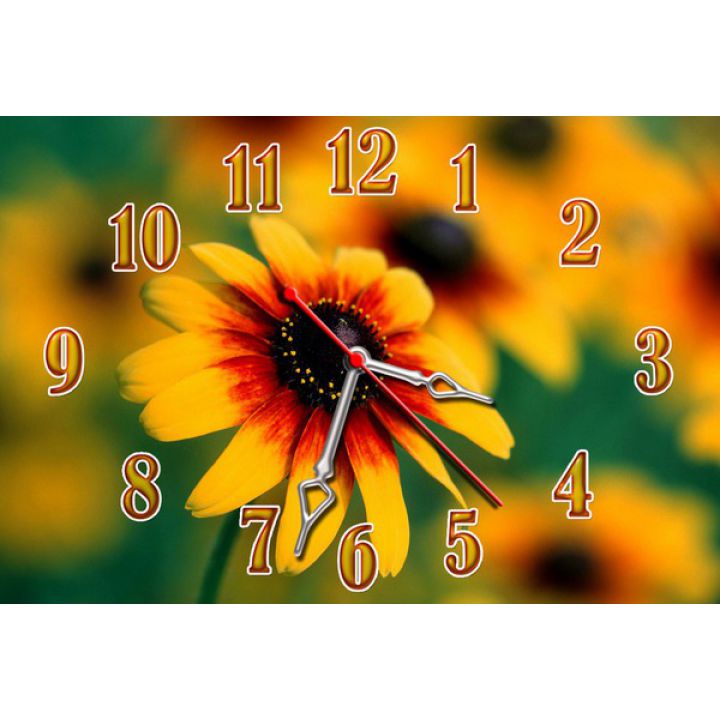 Настінний годинник Помаранчева квітка, 30х45 см