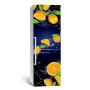 65х200 см, Наклейка на холодильник Парящие апельсины