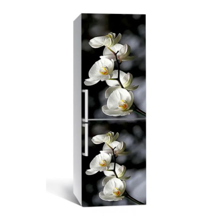 65х200 см, Наклейка на холодильник Ветка орхидей