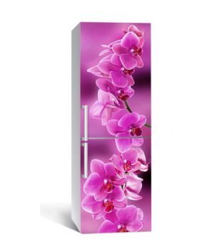 65х200 см, Наклейка на холодильник Ветка розовых орхидей