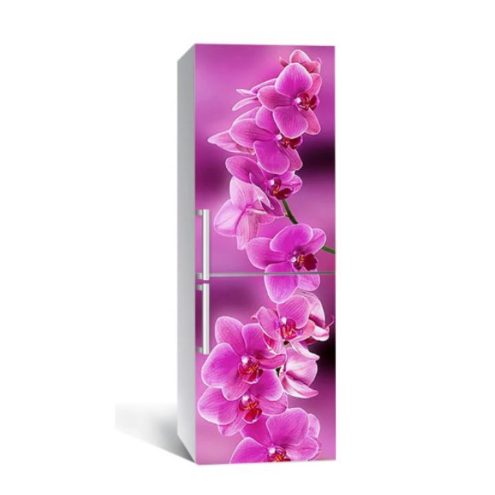 65х200 см, Наклейка на холодильник Ветка розовых орхидей