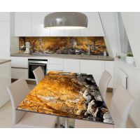 65х120 см, Осенний водопад