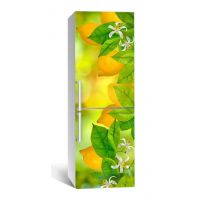 65х200 см, Наклейка на холодильник Z70509