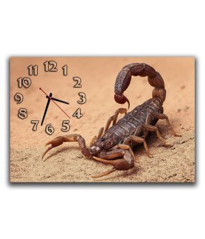 Настінний годинник Скорпіон, 30х45 см