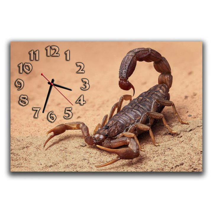 Настенные часы Скорпион, 30х45 см