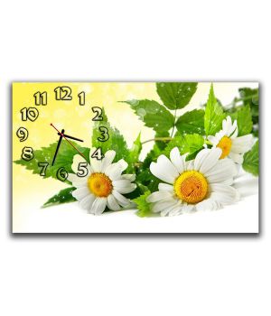 Настенные часы Милые ромашки, 30х50 см