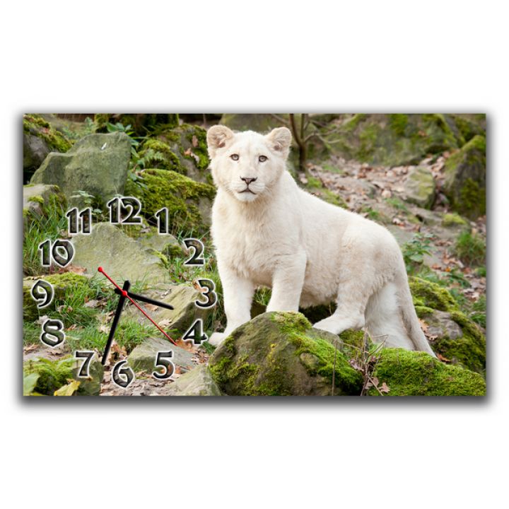 Настінний годинник Білий лев, 30х50 см