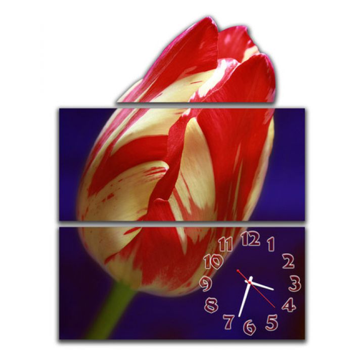 Модульные часы Красно-белый тюльпан