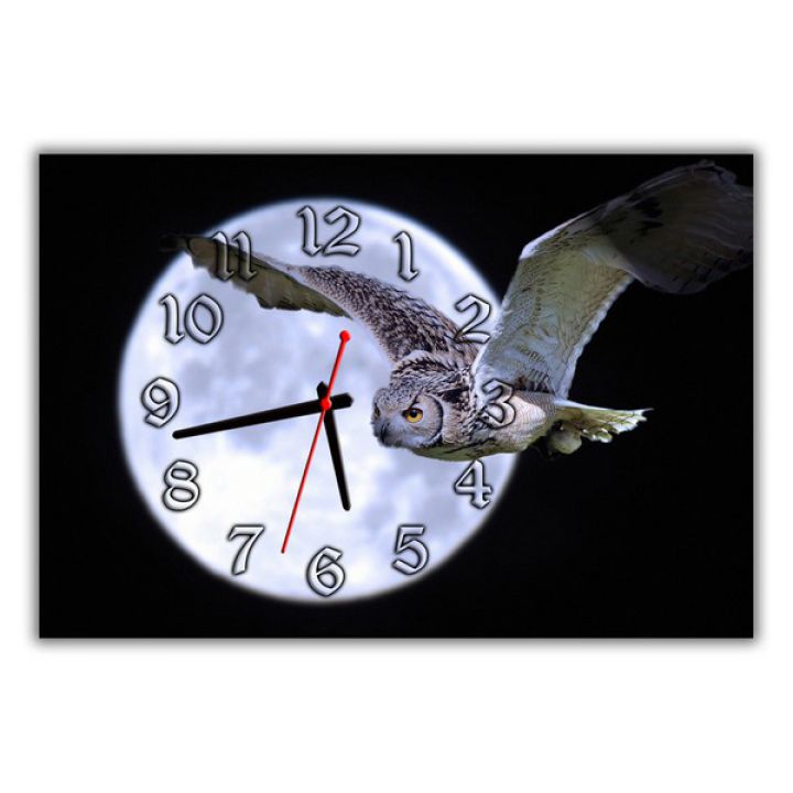 Настенные часы Летящая сова, 30х45 см