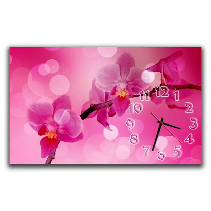 Настінний годинник Рожеві орхідеї, 30х50 см
