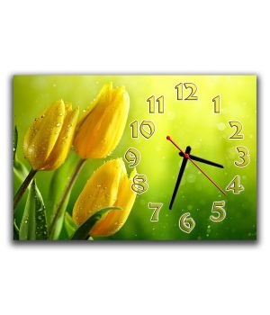 Настінний годинник Тюльпани на зеленому, 30х45 см