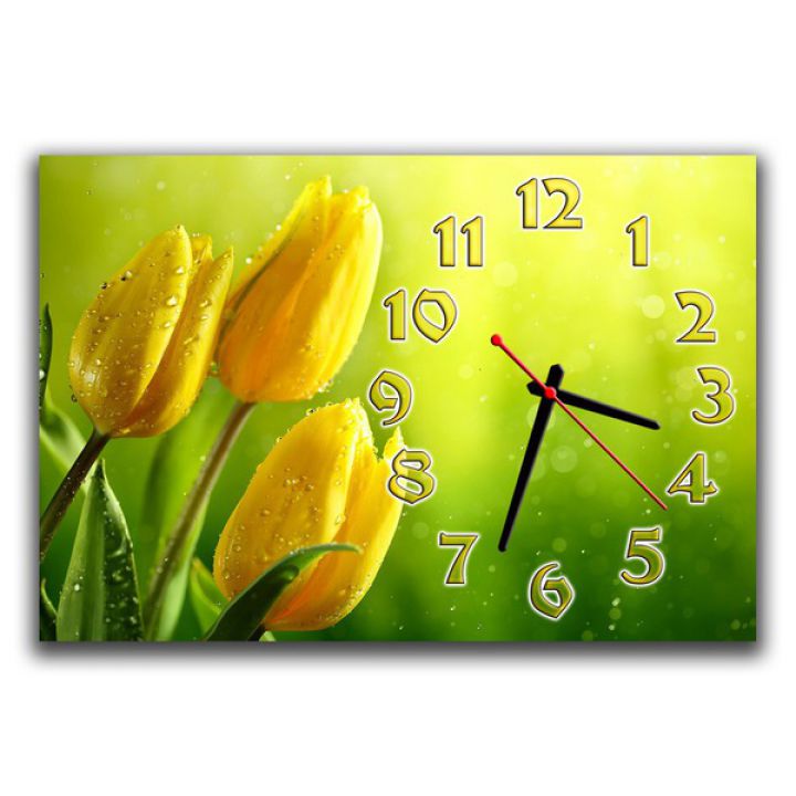 Настенные часы Тюльпаны на зеленом, 30х45 см