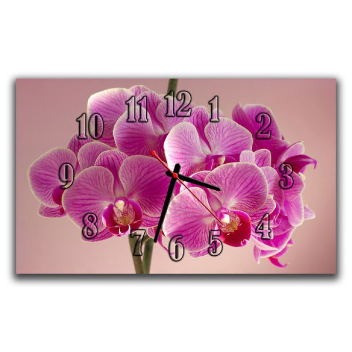 Настінний годинник Ніжні орхідеї, 30х50 см