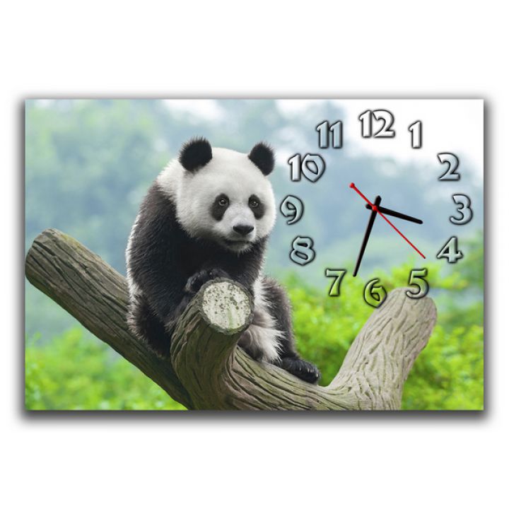 Настінний годинник Панда, 30х45 см