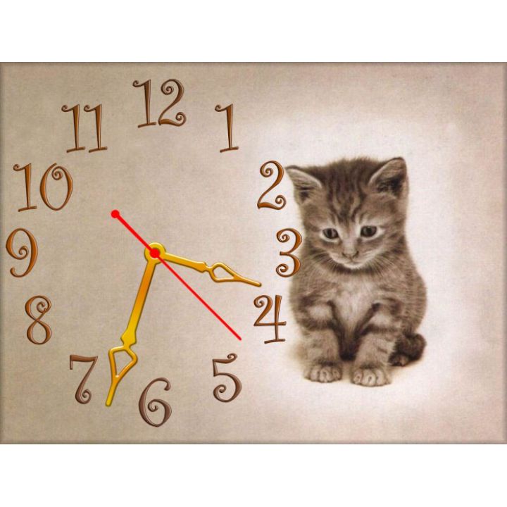Настінний годинник Котик 69060, 30х40 см