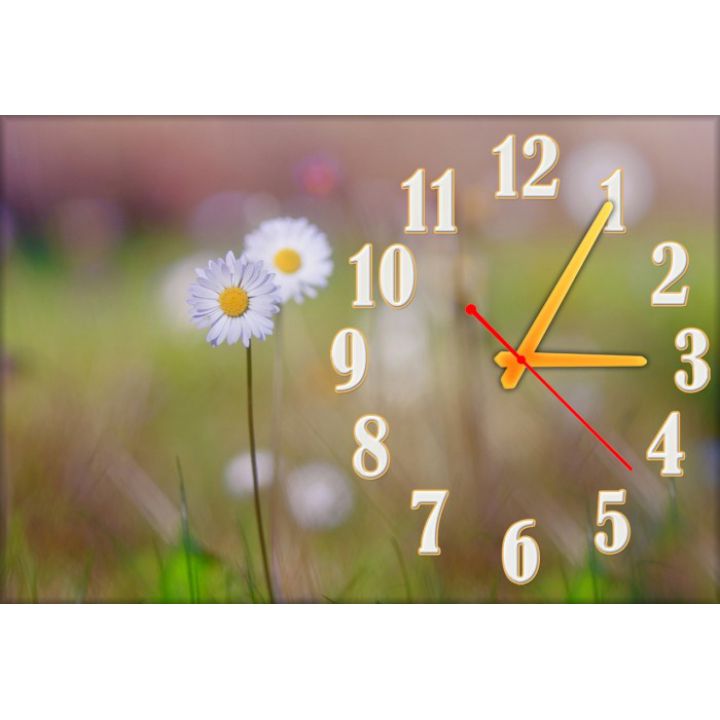 Настенные часы Цветок 68990, 30х45 см