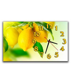 Настінний годинник Лимони 69030, 30х50 см