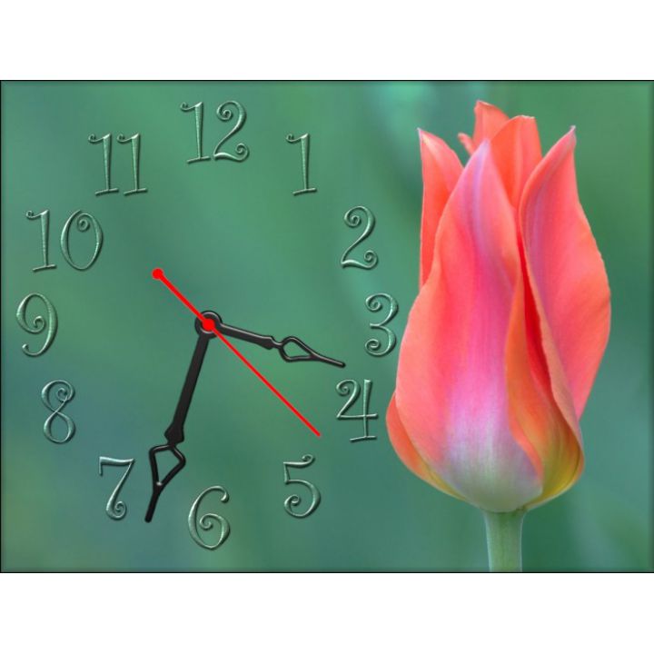 Настінний годинник Тюльпан 69041, 30х40 см