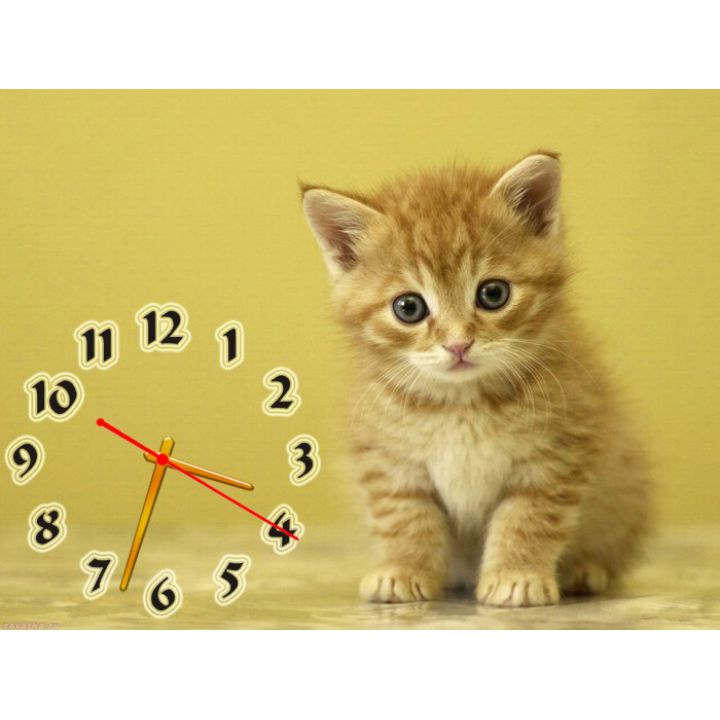 Настінний годинник Котик 69061, 30х40 см