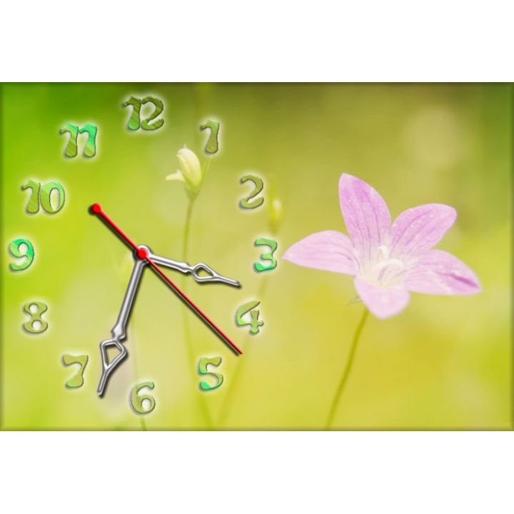 Настенные часы Цветок 68981, 30х45 см