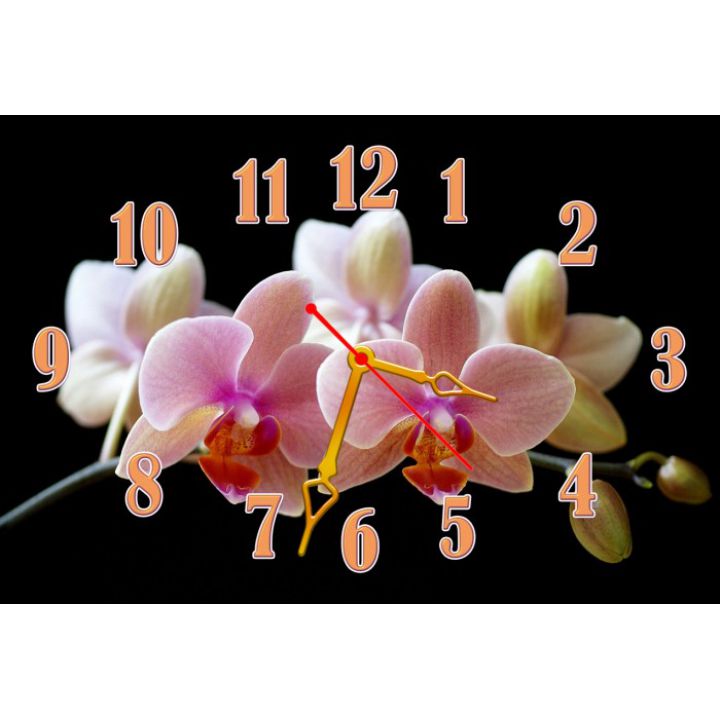 Настенные часы Цветы 68991, 30х45 см