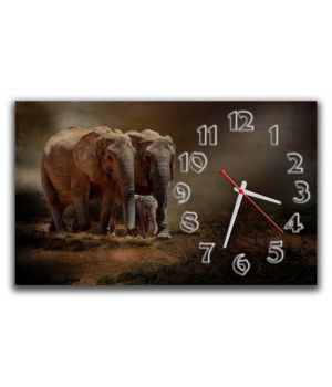 Настінний годинник Слони 69031, 30х50 см