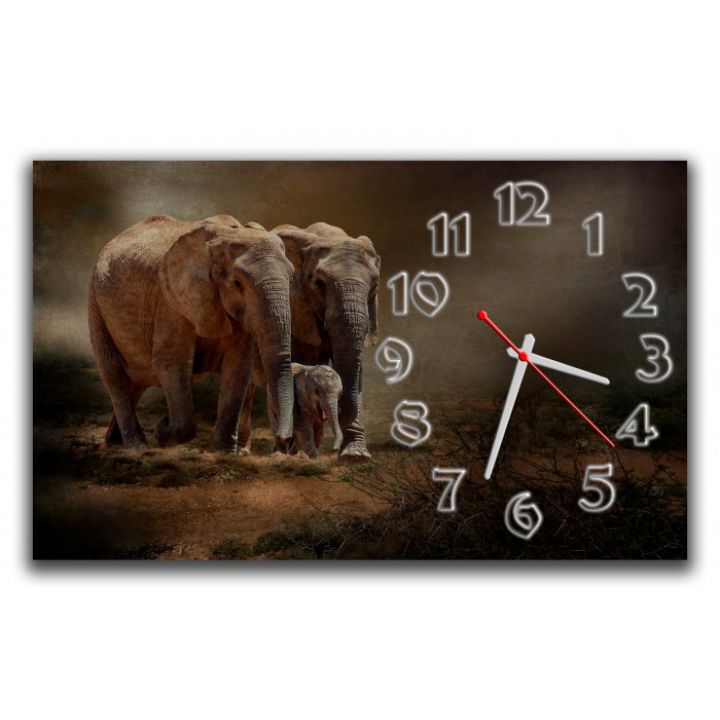 Настенные часы Слоны 69031, 30х50 см