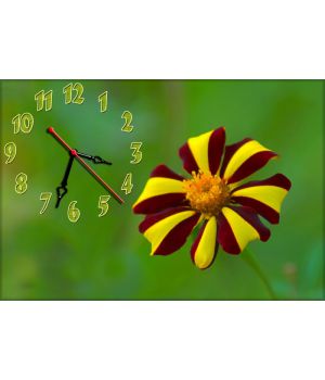 Настінний годинник Квітка 68982, 30х45 см