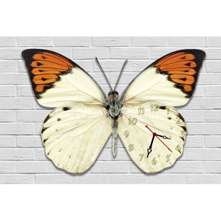 Фігурний настінний годинник з 3D ефектом Метелик F84, 30х45 см