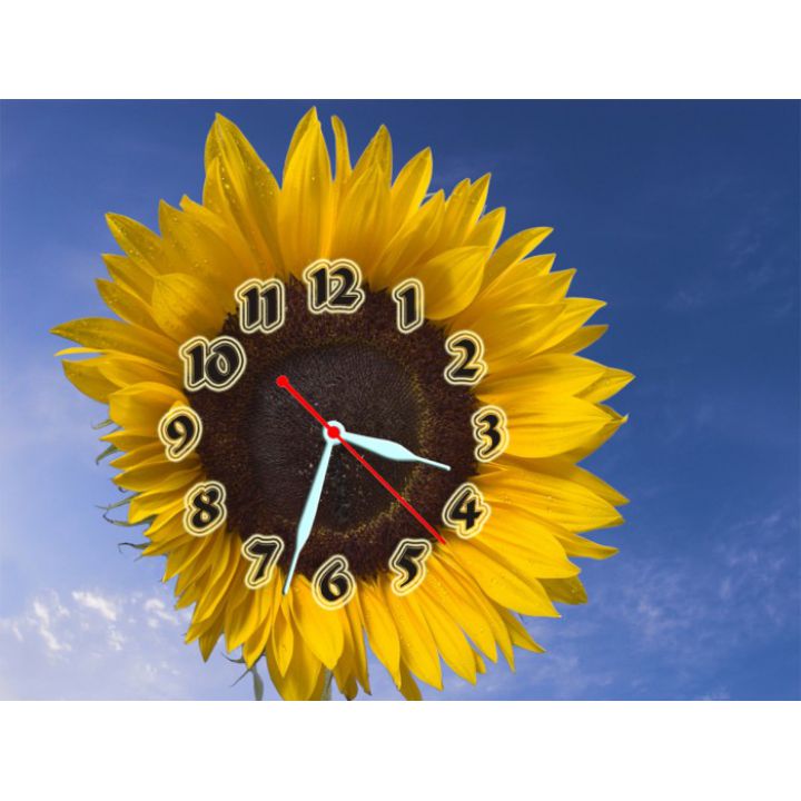 Настенные часы Подсолнух 69044, 30х40 см