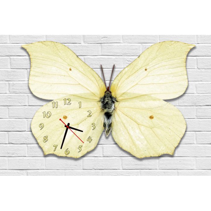 Фігурний настінний годинник з 3D ефектом Метелик F91, 30х45 см