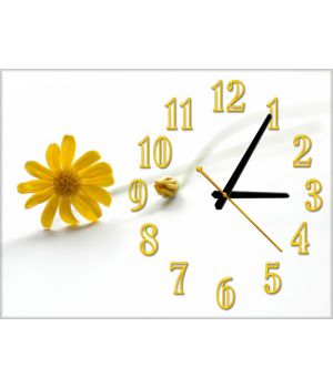 Настінний годинник Квітка 69046, 30х40 см