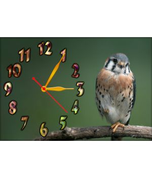 Настінний годинник Птах 68997, 30х45 см