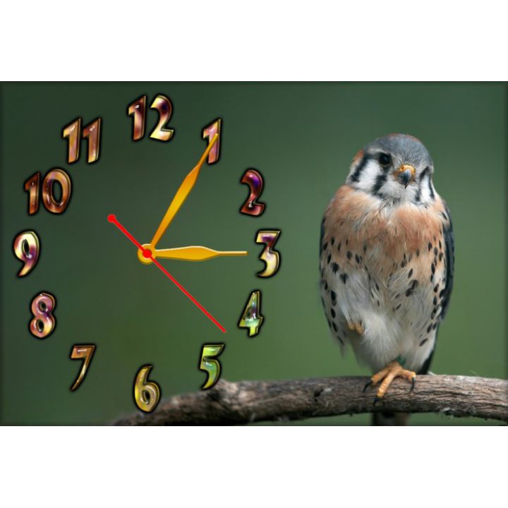 Настенные часы Птица 68997, 30х45 см