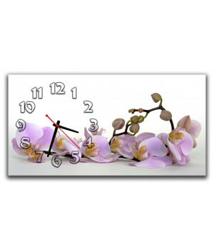 Настінний годинник Орхідеї 69017, 30х60 см