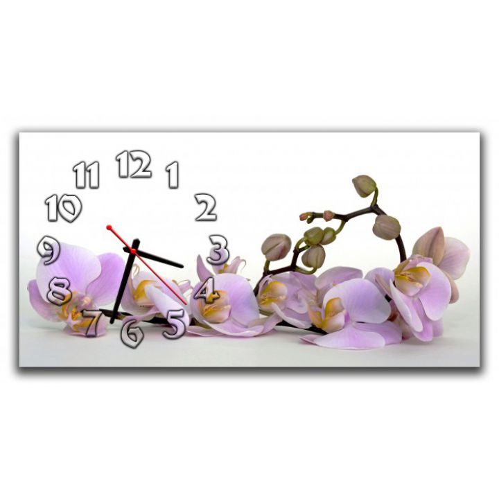 Настенные часы Орхидеи 69017, 30х60 см