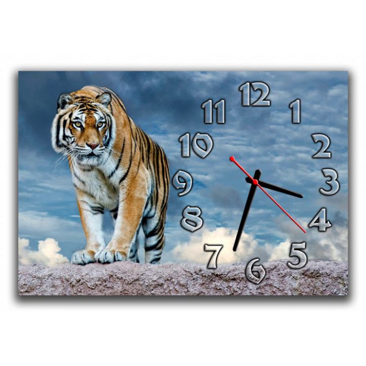 Настенные часы Тигр 68968, 30х45 см