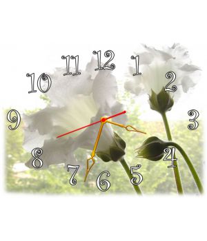 Настінний годинник Квіти 69039, 30х40 см