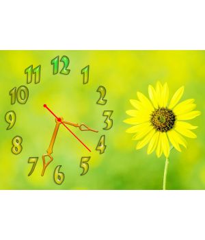 Настінний годинник Квітка 68989, 30х45 см