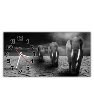 Настінний годинник Слони 69019, 30х60 см